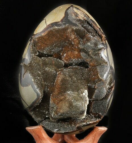 Septarian Dragon Egg Geode - Black Crystals #47471